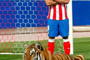 Oh Falcao ...