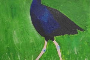Le Pukeko