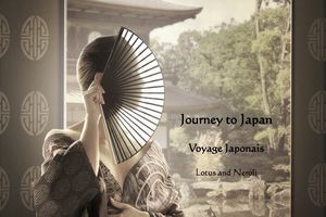 Modelage du visage japonais Kobido