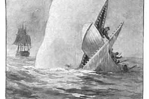 Moby Dick: 5 bonnes raisons de le lire