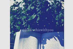 Oldies : Les vieilles listes de livres