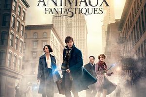 Film review // Chronique cinéma : Les Animaux Fantastiques