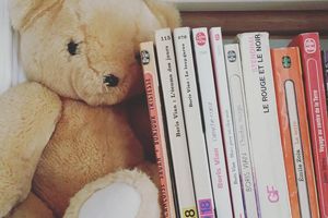 Bookshelf Tour 2017 - On fait le tour de ma bibliothèque
