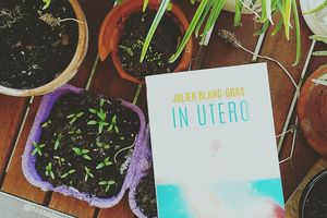 In Utero - Julien Blanc-Gras