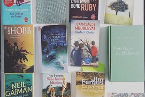 Bilan des Lectures de l'été 2017