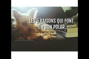 Nouvelle vidéo YouTube : 5 bonnes raisons pour lire 3 excellents polars