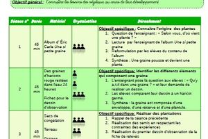 Les végétaux: De la graine à la plante - la germination - CP-CE1