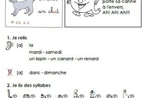 Chut... Je lis ! Edition 2016 : les fiches sons - CP