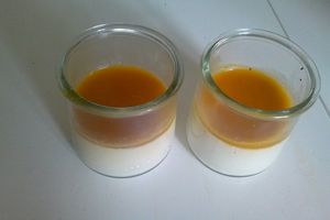 Panna cotta coulis mangue et abricot, thermomix, agar agar