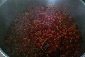 Recette du sirop de groseilles.