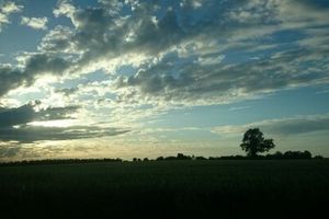 More than Paris : Oléron, Charente-Maritime
