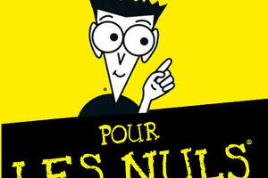 LA LOI EGALITÉ & CITOYENNETÉ POUR LES NULS