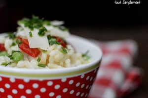 Risotto du Sud Ouest ... tout Simplement