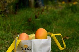 A la découverte de la Pomme Tentation®