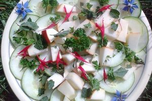 Salade de concombre aux fleurs