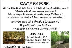 Camp en forêt (sous tente)
