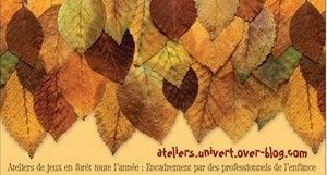 Activités d'automne 14