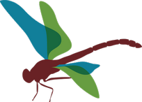 Ateliers de Pâques 16