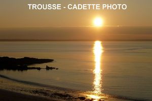 BLOG EN PAUSE