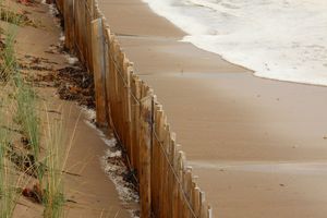 MAREE HAUTE SUR LA DUNE