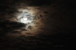 PLEINE LUNE - PERIGEE DU 14 NOVEMBRE 2016