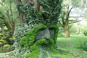 RACINES - MOSAICULTURE MONTREAL