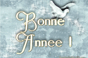 Alain Vacher vous souhaite ses meilleurs voeux pour 2016