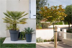 En mai fais ce qu'il te plait... dans ton jardin !