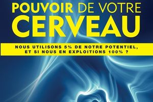 Livre : le Fabuleux Pouvoir de votre Cerveau