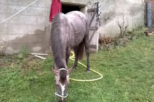 MERCI !