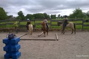 Equi-motricité à poney