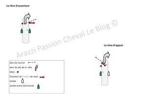 Rêne d'ouverture et rêne d'appuis