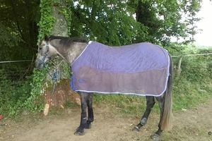 On teste pour vous ... chemise weatherbeeta séchante