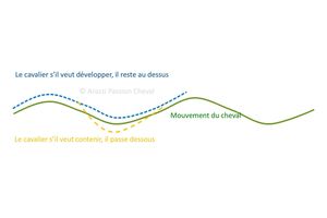 Stage ACTEF 14/15 décembre 2015 : lundi 14, matin, atelier en salle : équitation centrée