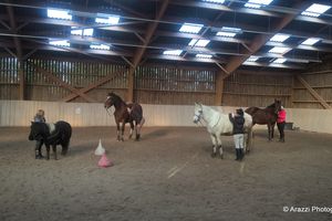 Quand respect du cheval emmène les élèves vers de nouveaux horizons ...