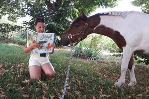 Festival d'Arts Equestres Libres 2017 ... Art 15 : FIN.