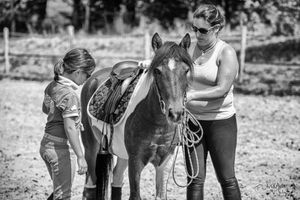 Réflexion équestre : cette équitation qui ne me correspond pas ... j'arrête.