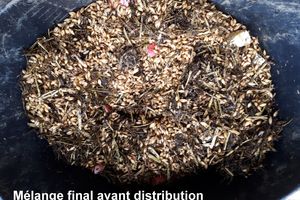 Alimentation ... piste maison ... Comment nourrir mon cheval ? Enfin là, c'est les miens à moi ...