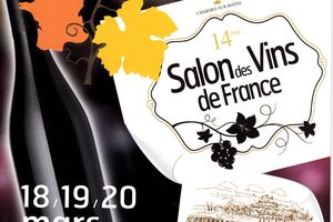 SALON DES VINS 2016 à Charmes sur Rhône