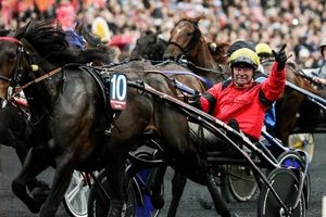 Grand Prix de France dimanche à Vincennes : Bold en route pour le doublé