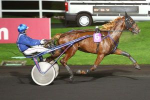 Critérium des 4 ans samedi à Vincennes : Cap Matyss, la révélation ?