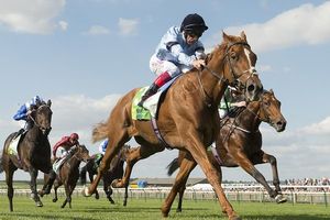 Prix du Jockey-Club dimanche à Chantilly : Foundation, objectif de longue date