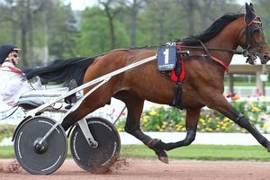 Prix de Buenos Aires Samedi à Enghien : Tiego se met au tango