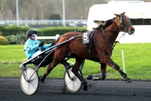 Quinté de samedi à Vincennes : à la portée D' Uno Dancer