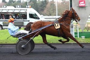 Finale du Trophée Vert Dimanche à Craon : Akido est fin prêt