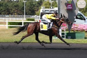 Pronos R1 à Vincennes Dimanche