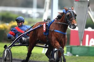 Quinté Mercredi au Croisé-Laroche : l'occasion en or pour Anna Mix