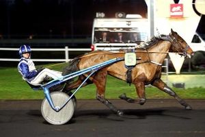 Quinté à Vincennes vendredi soir : Affable d'Occagnes ne raconte pas d'histoires