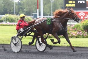Quinté dimanche à Vincennes : Classic Way sur la voie classique