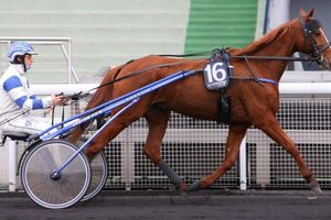 Quinté jeudi à Vincennes : Vichenko Chef gardé pour ça